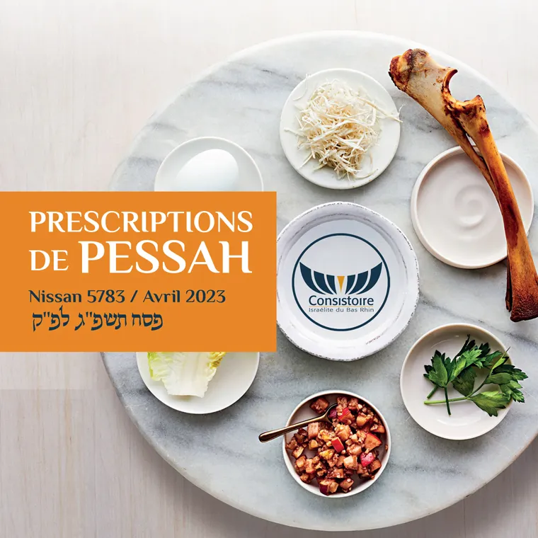 Pessah 5783 : votre dossier spécial !