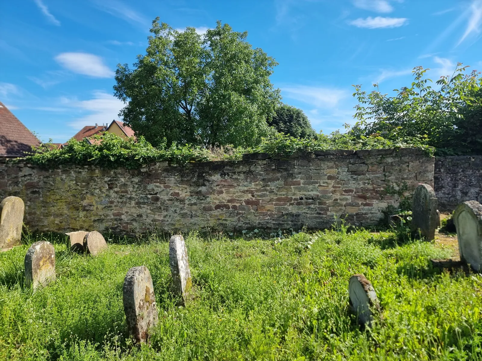 Entretien du cimetière de Westhoffen