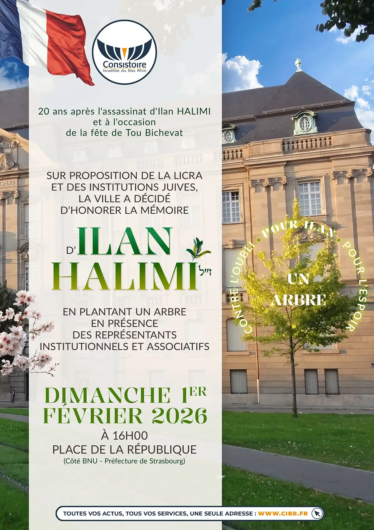 Les racines, l’arbre et les fruits