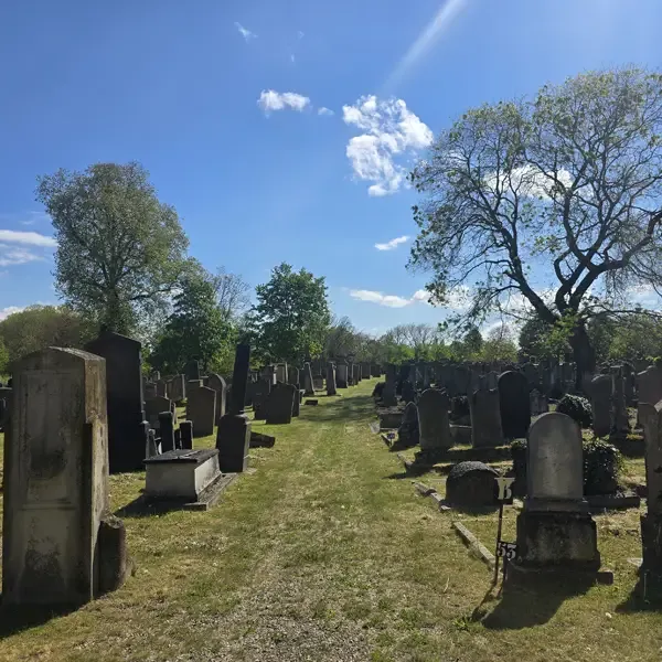Travaux d’entretien au cimetière de Koenigshoffen